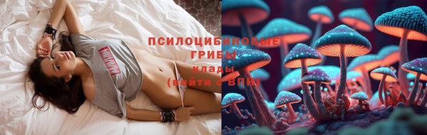 PSILOCYBIN Карпинск