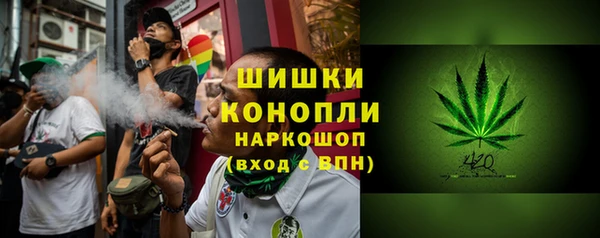 PSILOCYBIN Карпинск
