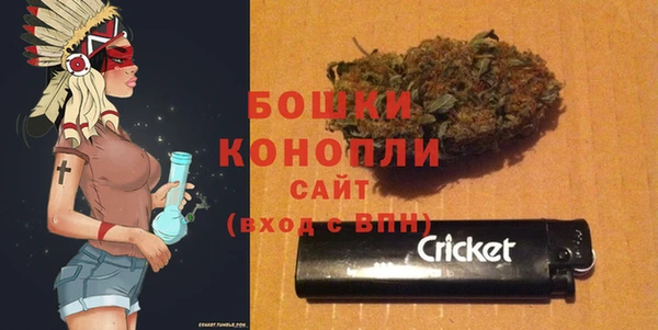 PSILOCYBIN Карпинск