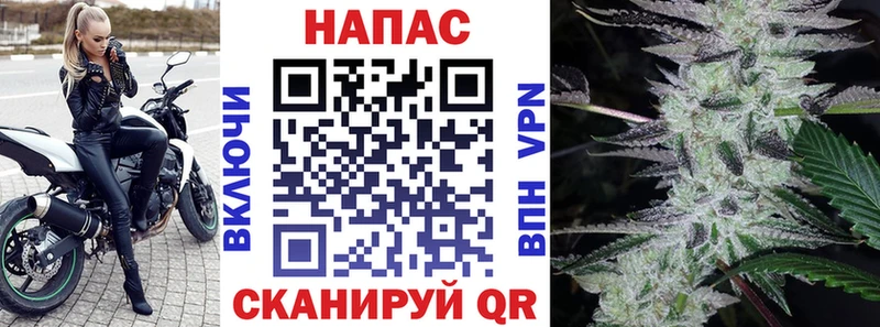 Купить где  Тотьма  Бошки Шишки White Widow 